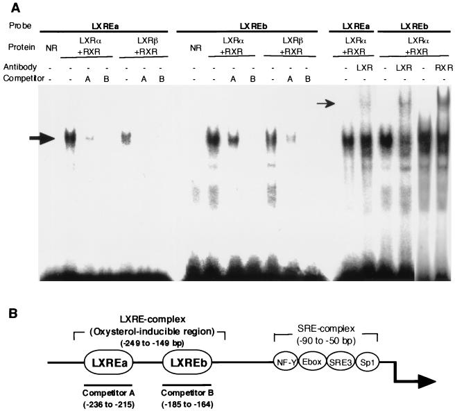 FIG. 6