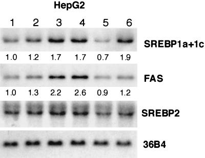 FIG. 10