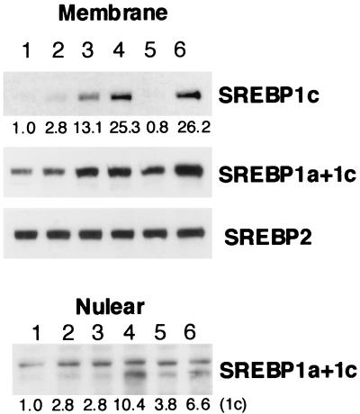 FIG. 9