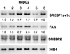 FIG. 10