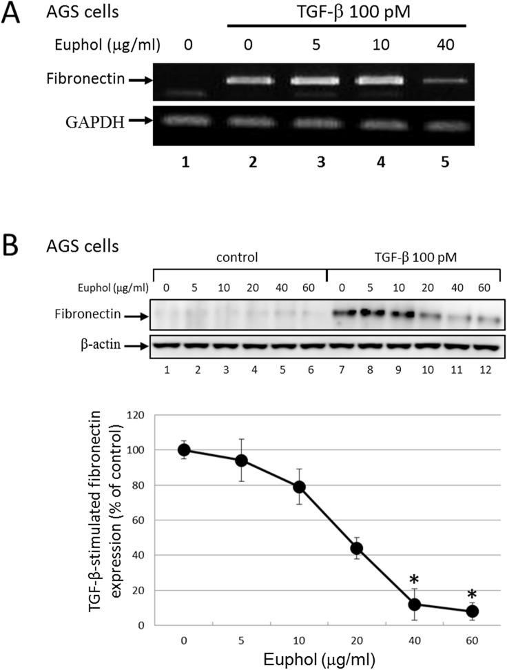 Fig 7