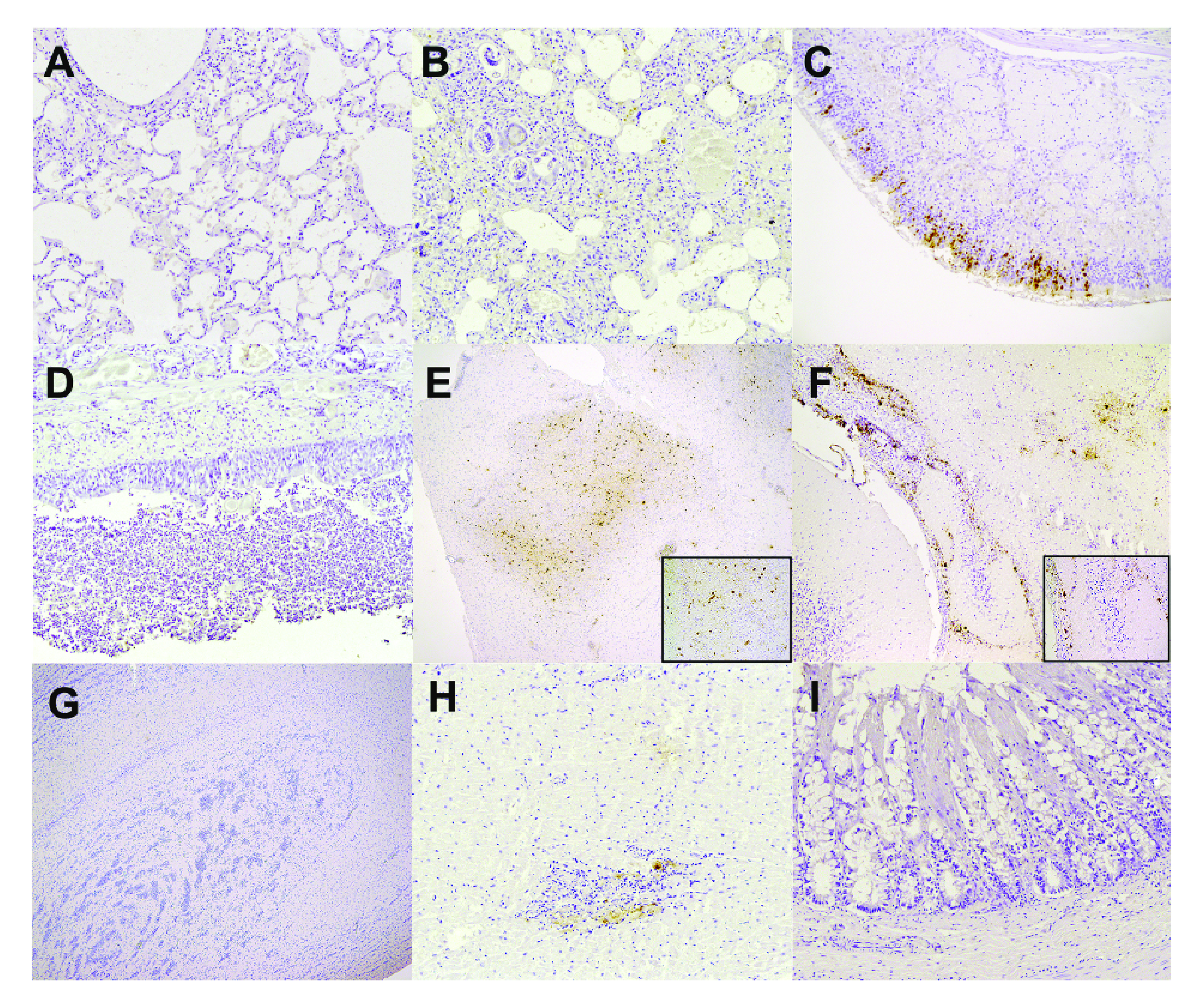 FIG 2