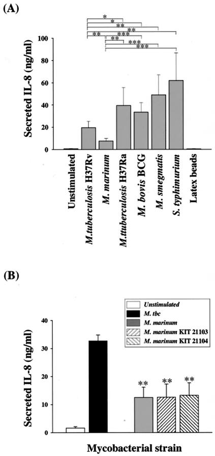 FIG. 5.