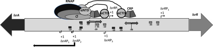 FIG 6