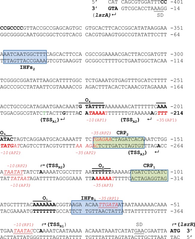 FIG 3