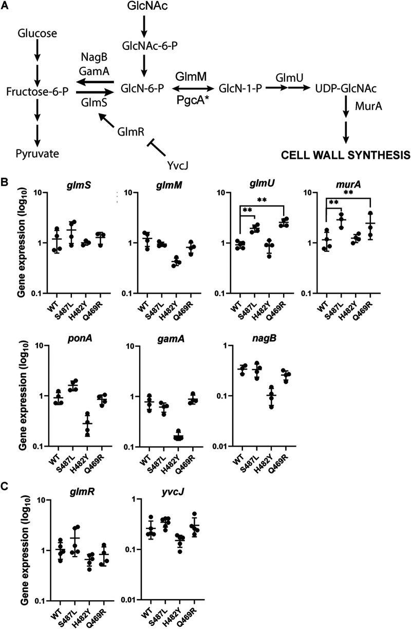 FIG 4