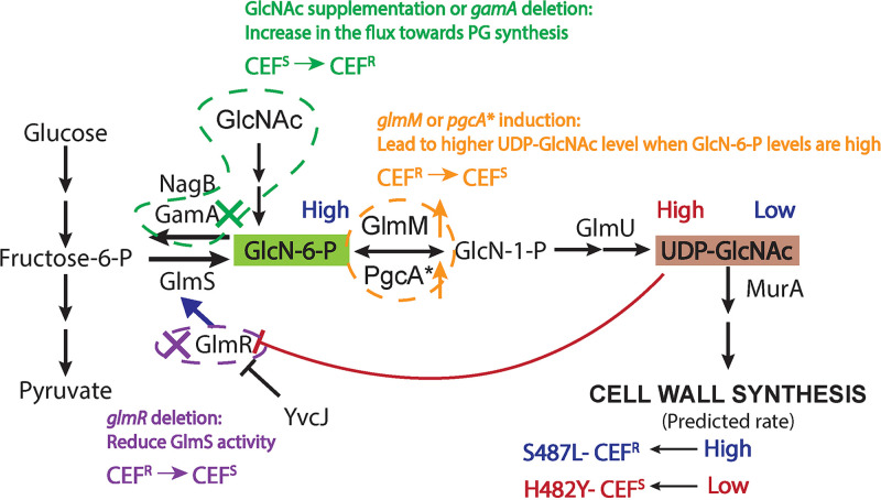 FIG 8