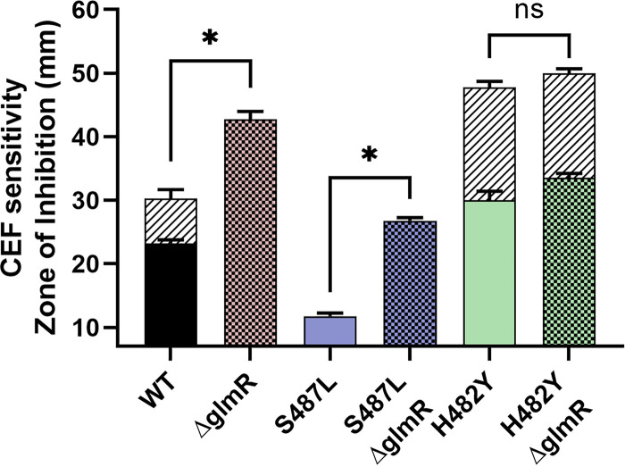 FIG 6