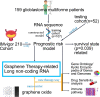 Graphical Abstract