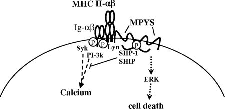 FIG. 8.