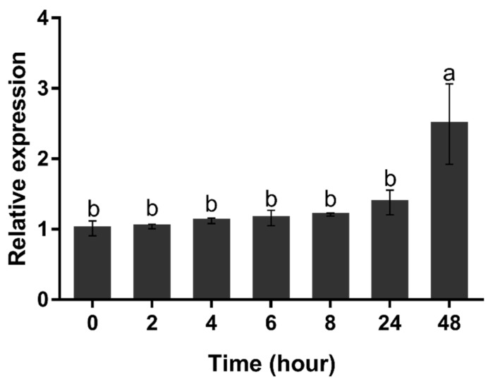 Figure 6