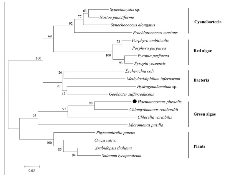 Figure 5