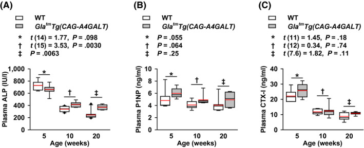 FIGURE 3