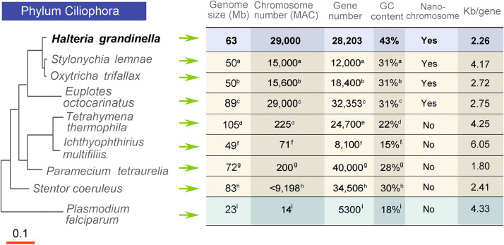 FIG 1