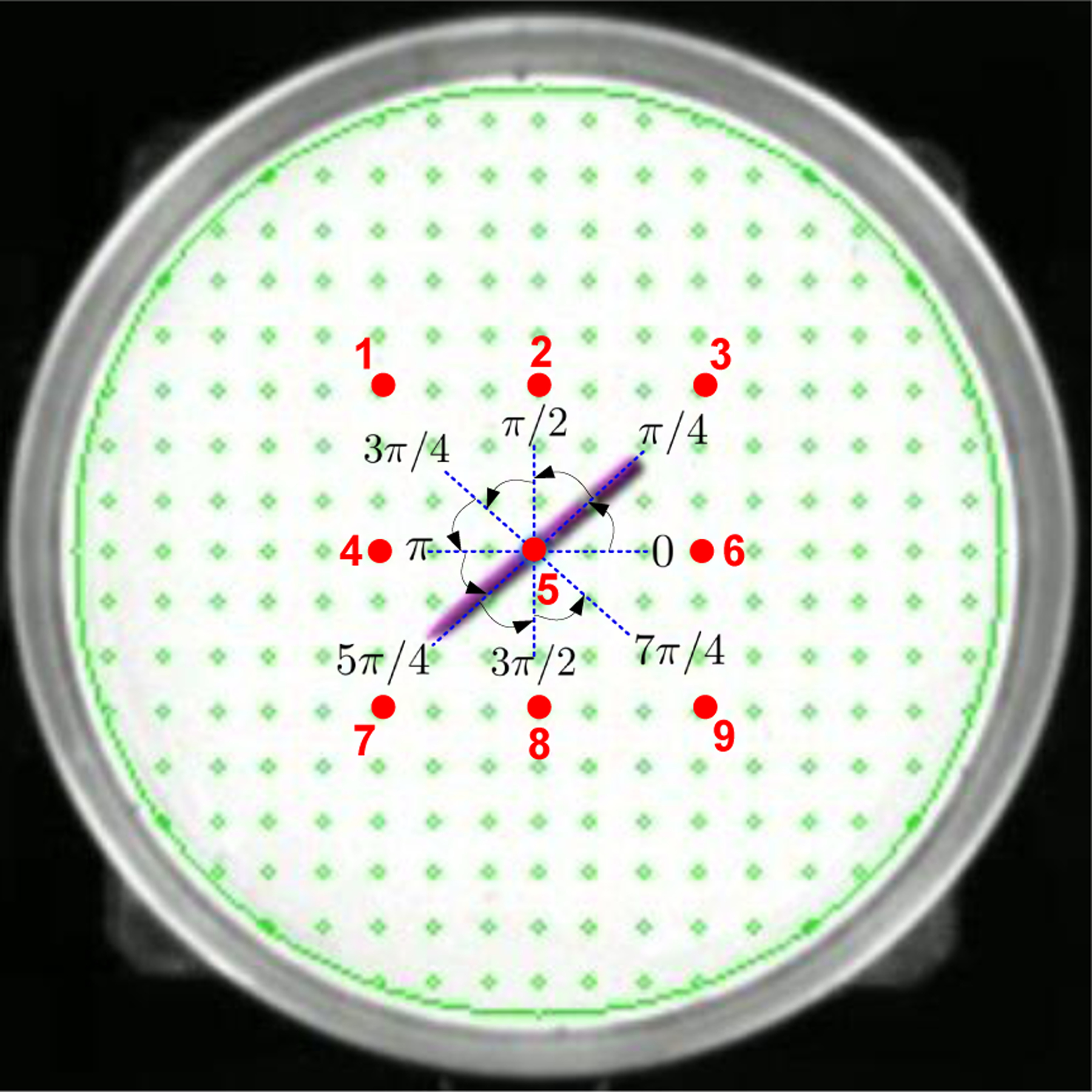 Fig. 5.