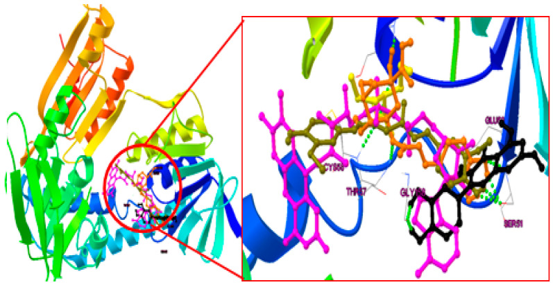 Figure 6