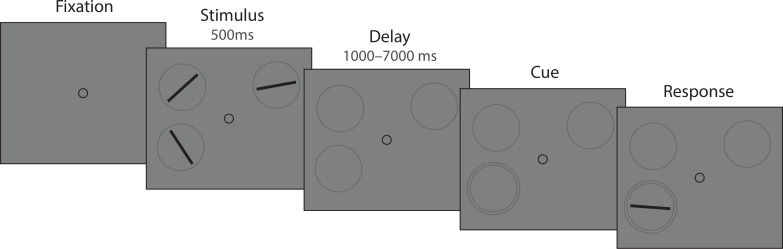 Appendix 4—figure 1.