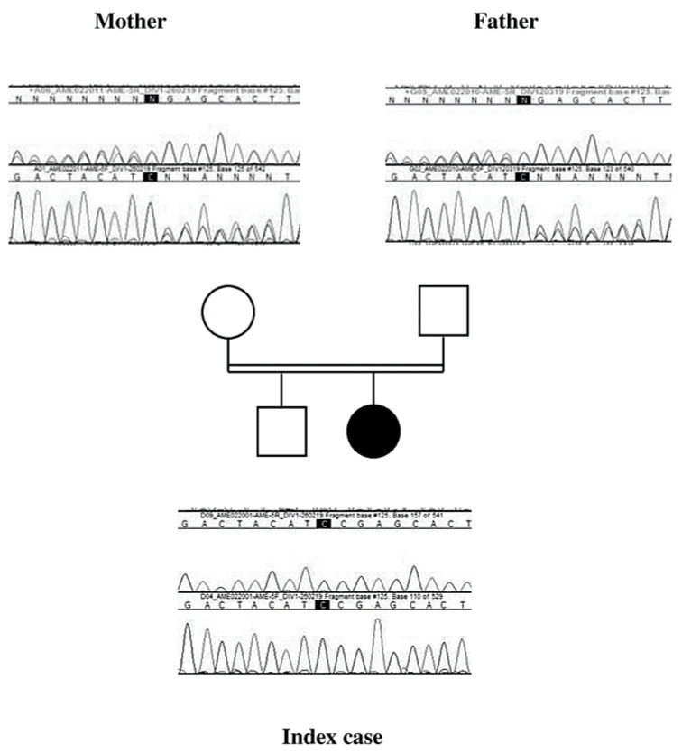 Figure 5