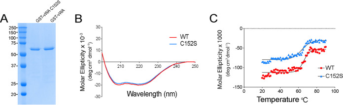 FIG 3