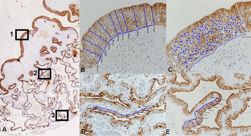 FIG 9