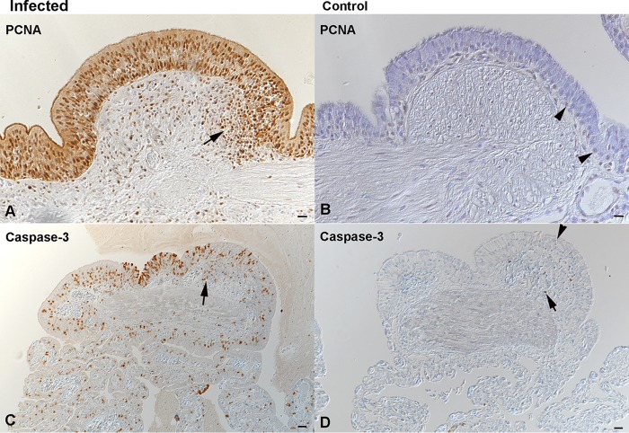 FIG 11