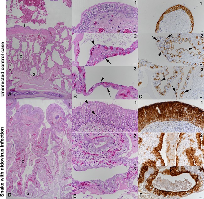 FIG 2