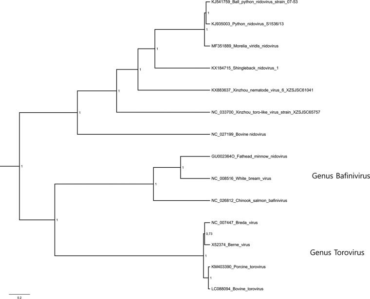 FIG 6