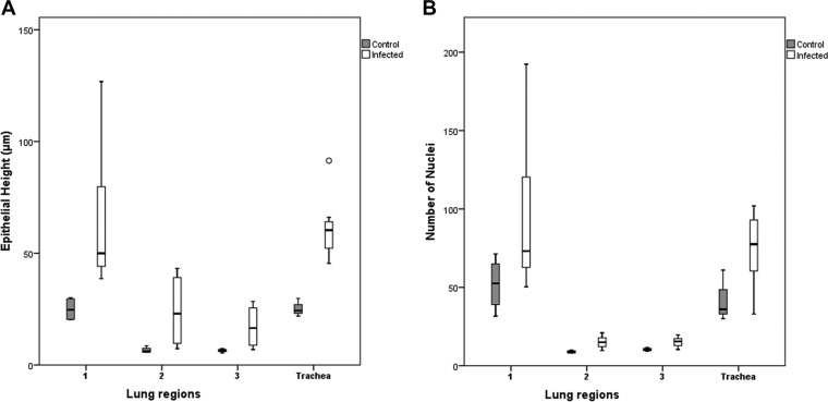 FIG 10