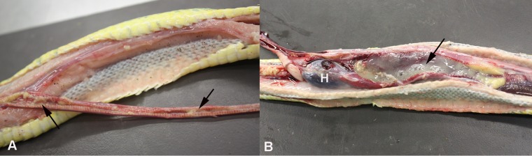 FIG 1