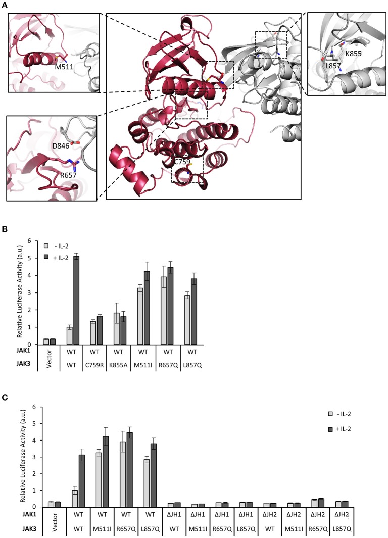 Figure 2