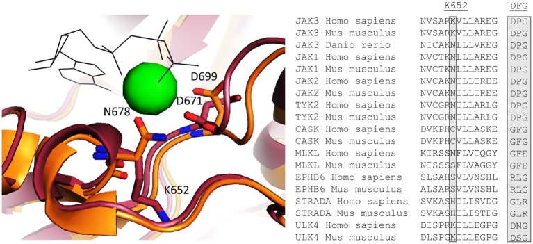 Figure 6