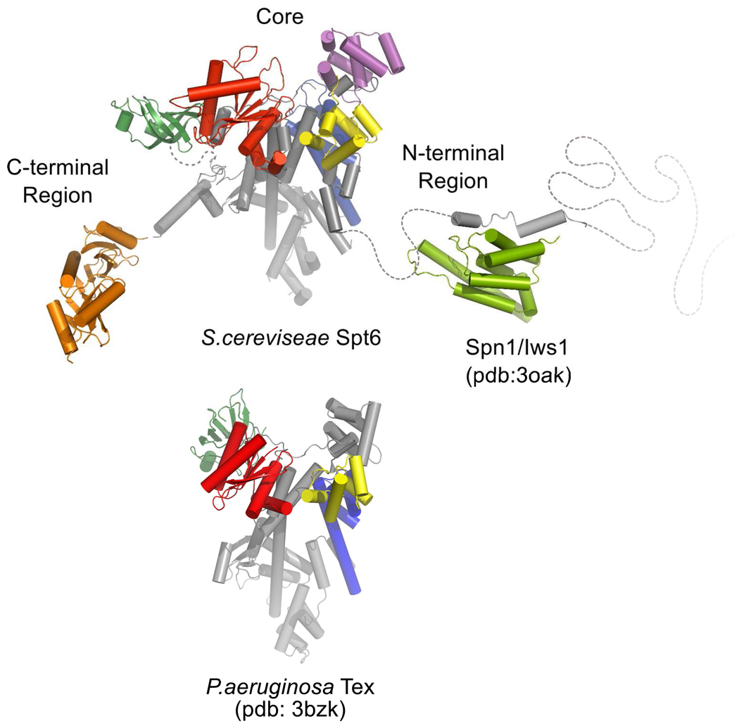 Figure 10