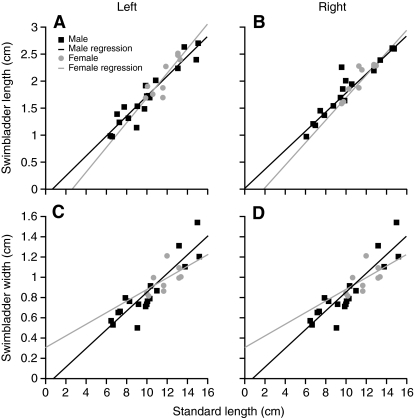 Fig. 11.