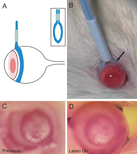 Figure 2.