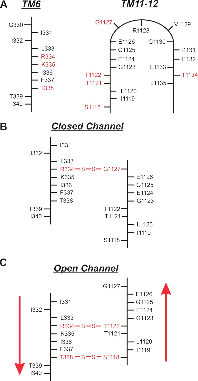 FIGURE 7.