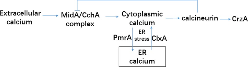 FIG 8