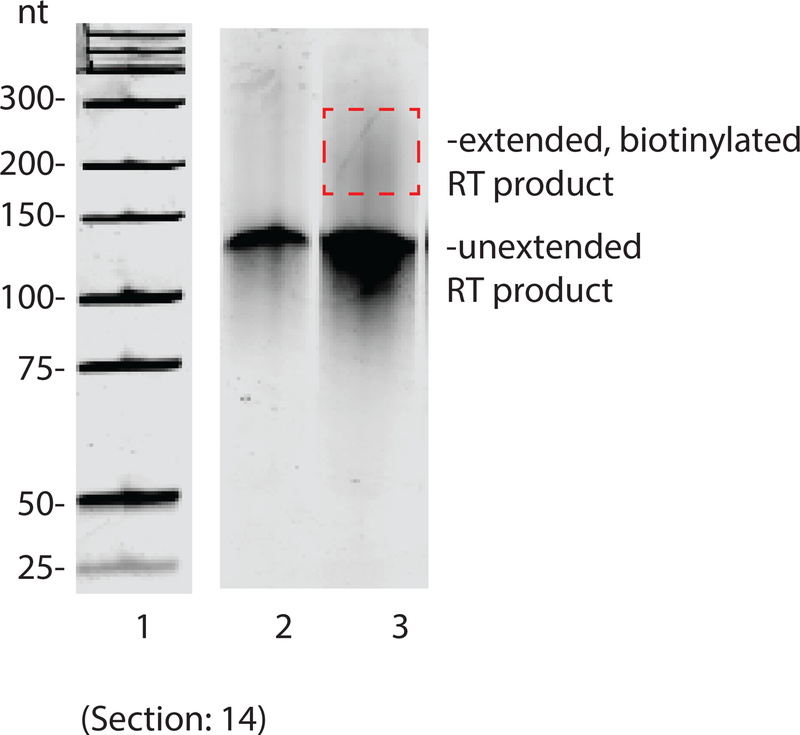 Figure 4: