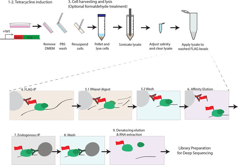 Figure 1: