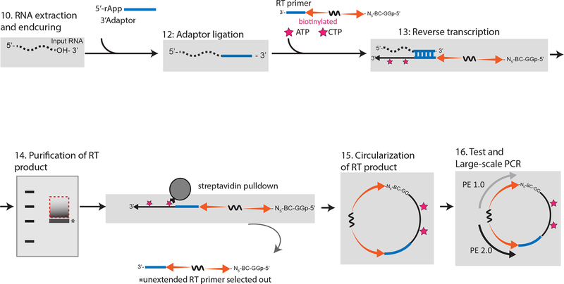 Figure 2: