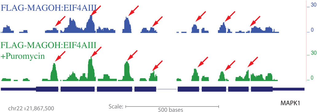 Figure 7: