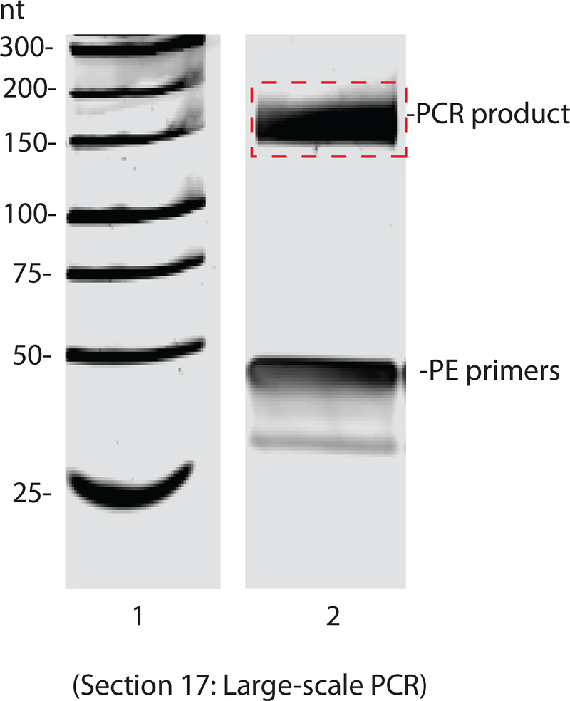 Figure 6: