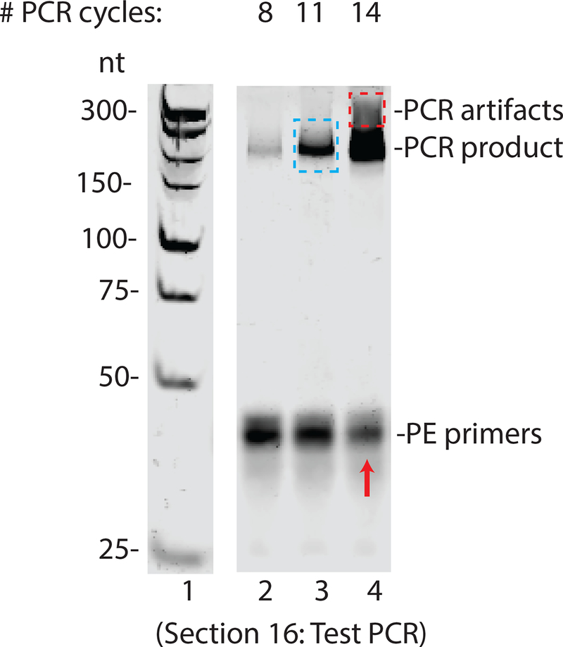 Figure 5: