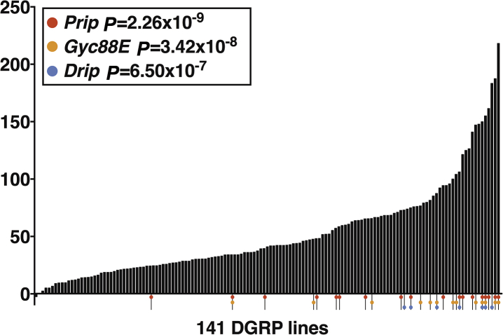 Figure 5