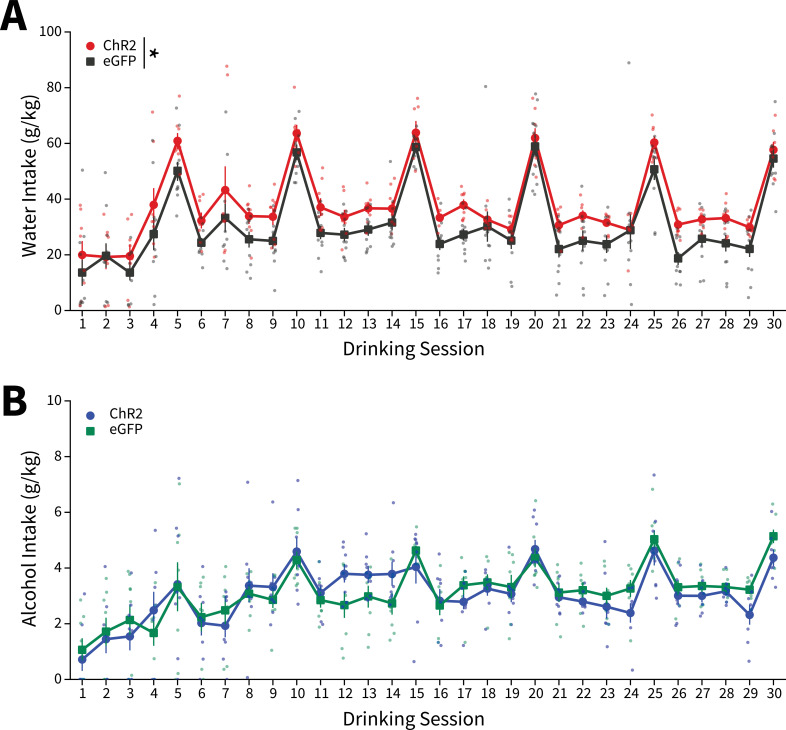 Figure 2—figure supplement 4.