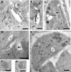 FIG. 8.