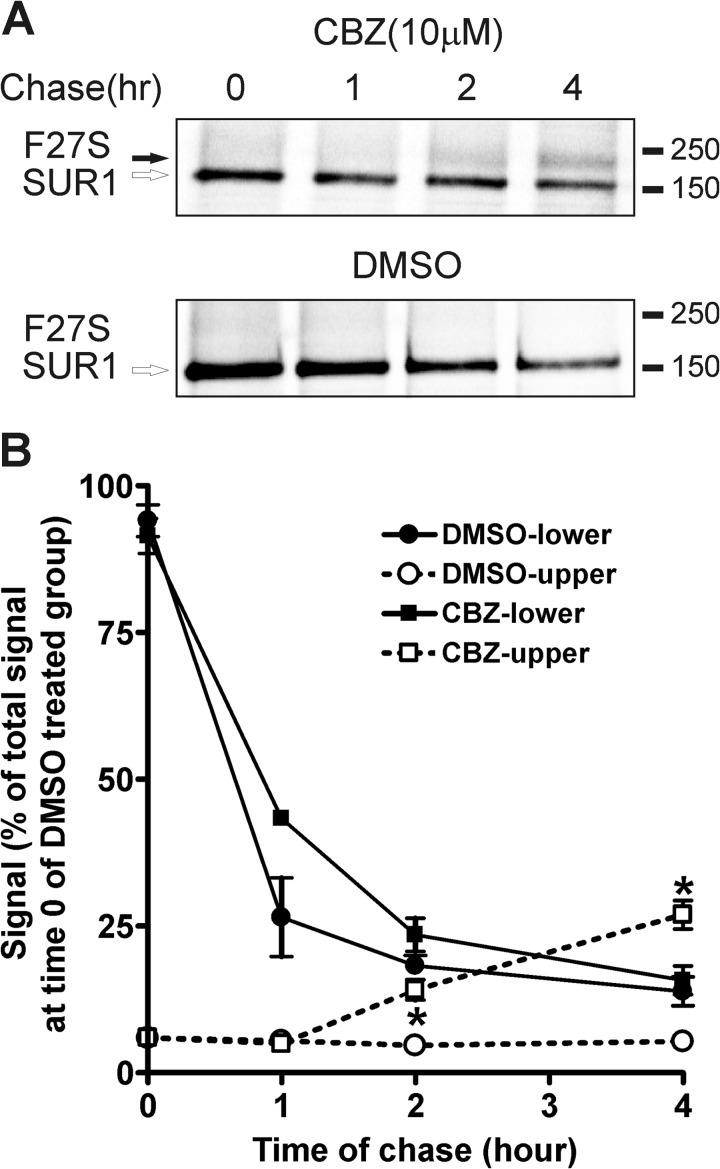 FIGURE 4.