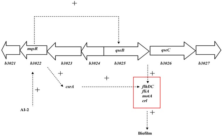 FIGURE 12