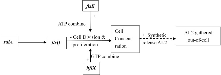 FIGURE 11