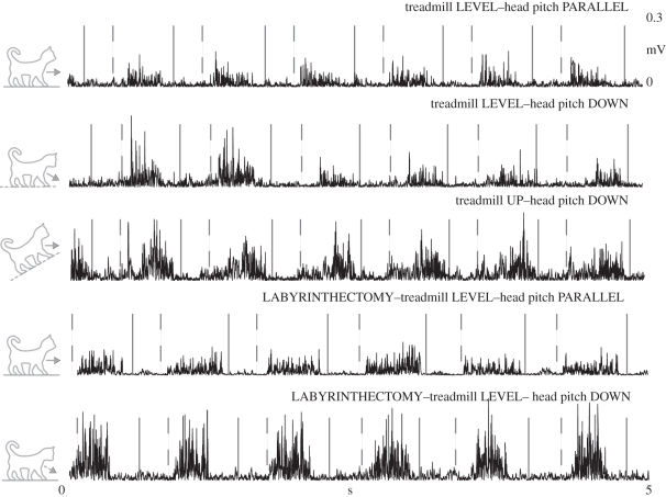 Figure 6.