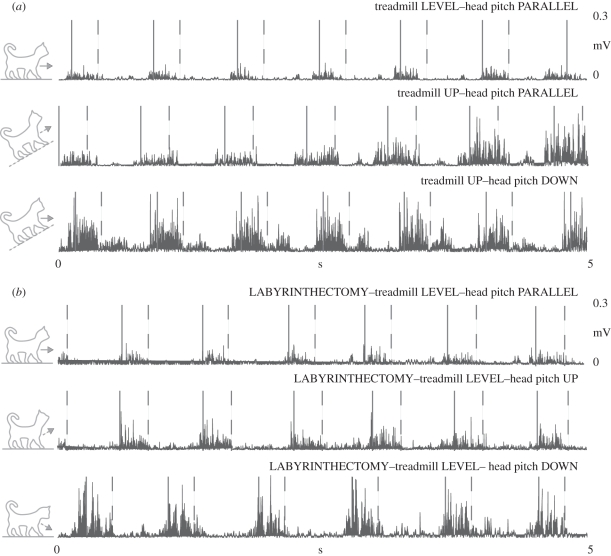 Figure 5.